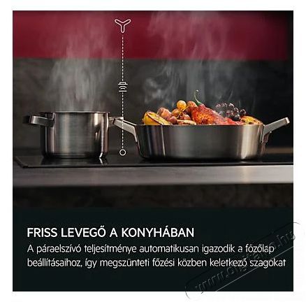 AEG GDE686HB Konyhai term&eacute;kek - P&aacute;raelsz&iacute;v&oacute; - Be&eacute;p&iacute;thető / kih&uacute;zhat&oacute; - 515066