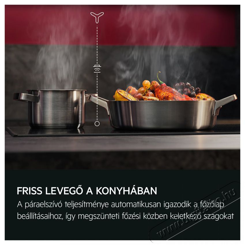 AEG GDE689HB Konyhai term&eacute;kek - P&aacute;raelsz&iacute;v&oacute; - Be&eacute;p&iacute;thető / kih&uacute;zhat&oacute; - 515068