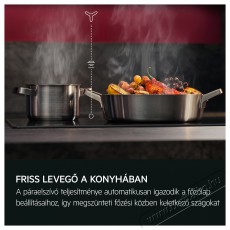 AEG GDE689HB Konyhai term&eacute;kek - P&aacute;raelsz&iacute;v&oacute; - Be&eacute;p&iacute;thető / kih&uacute;zhat&oacute; - 515068