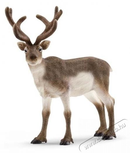 Schleich r&eacute;nszarvas figura H&aacute;ztart&aacute;s / Otthon / K&uuml;lt&eacute;r - J&aacute;t&eacute;k / Sport - J&aacute;t&eacute;kfigura - 534631