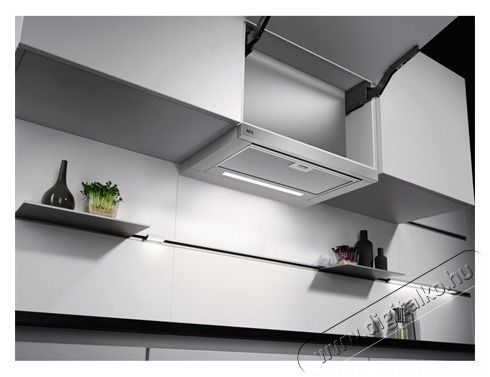 AEG DPE5660M Be&eacute;p&iacute;thető p&aacute;raelsz&iacute;v&oacute; Konyhai term&eacute;kek - P&aacute;raelsz&iacute;v&oacute; - Be&eacute;p&iacute;thető / kih&uacute;zhat&oacute; - 382776