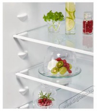 AEG OSC6N181ES 6000 Twintech Konyhai term&eacute;kek - Hűtő, fagyaszt&oacute; (szabadon&aacute;ll&oacute;) - Alulfagyaszt&oacute;s kombin&aacute;lt hűtő - 509420