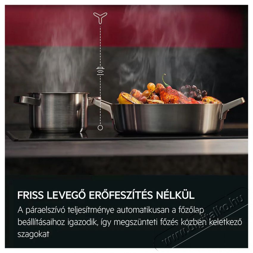 AEG TO74IB00FB Konyhai term&eacute;kek - S&uuml;tő-főzőlap, tűzhely (be&eacute;p&iacute;thető) - Indukci&oacute;s főzőlap (be&eacute;p&iacute;thető) - 515089