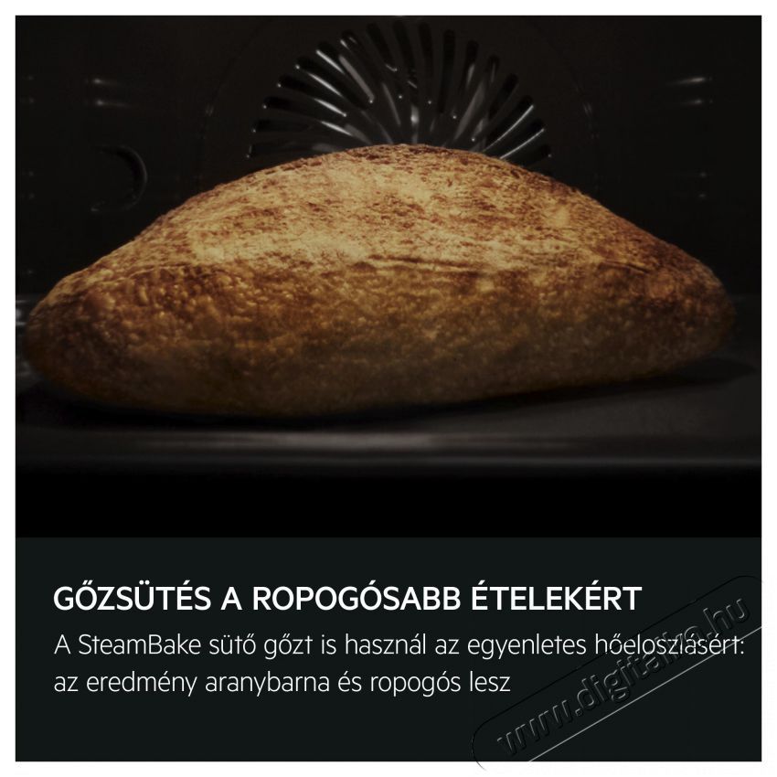 AEG TA5PB531AB Konyhai term&eacute;kek - S&uuml;tő-főzőlap, tűzhely (be&eacute;p&iacute;thető) - S&uuml;tő (be&eacute;p&iacute;thető) - 505572