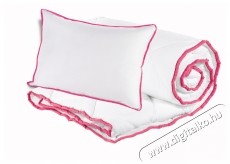 Alcam szett 2 db mikrosz&aacute;las p&aacute;rn&aacute;b&oacute;l 50x70 cm &eacute;s steppelt paplanb&oacute;l 200x220 cm H&aacute;ztart&aacute;s / Otthon / K&uuml;lt&eacute;r - Egy&eacute;b h&aacute;ztart&aacute;si term&eacute;k - 535945