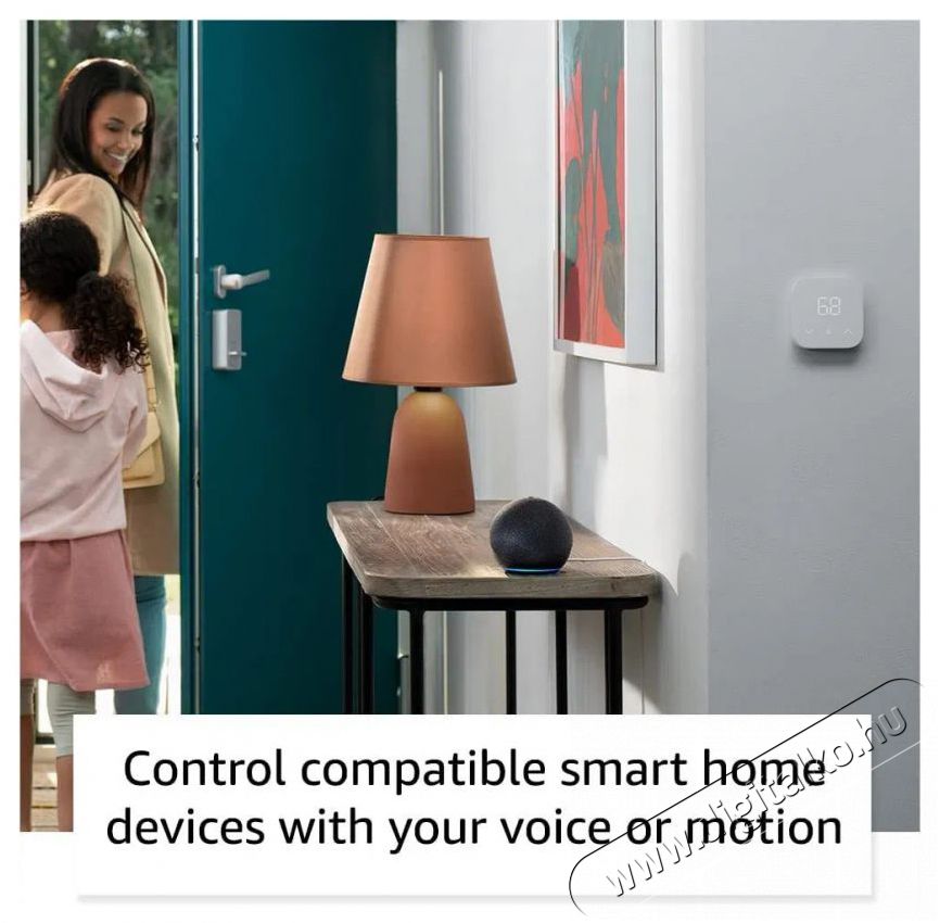 Amazon Echodot (5th. gen) Charcoal H&aacute;ztart&aacute;s / Otthon / K&uuml;lt&eacute;r - Okos otthon - Kieg&eacute;sz&iacute;tő - 508022