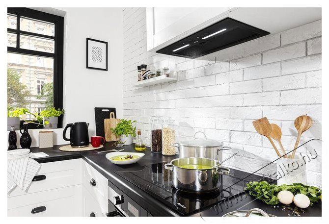 Amica SIO 655 BG Konyhai term&eacute;kek - P&aacute;raelsz&iacute;v&oacute; - Be&eacute;p&iacute;thető / kih&uacute;zhat&oacute; - 509651