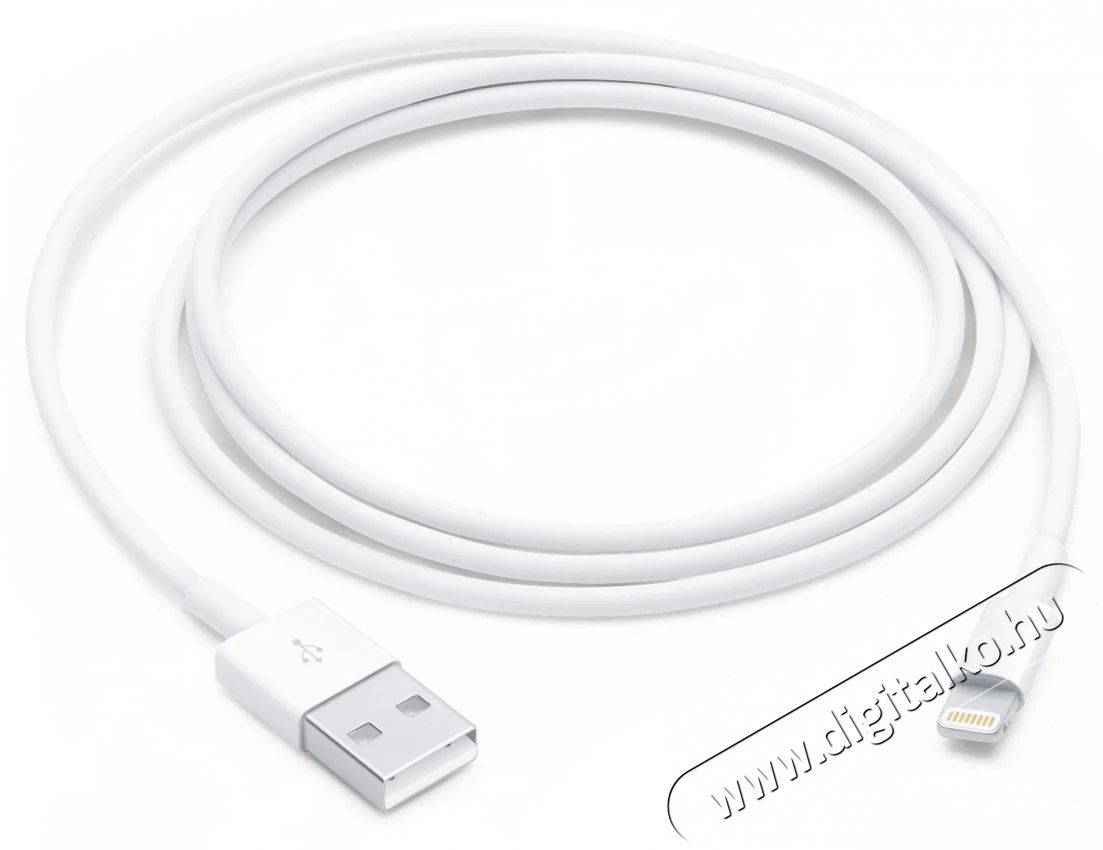 Apple Lightning to USB Cable 1m Mobil / Kommunik&aacute;ci&oacute; / Smart - Mobiltelefon kieg&eacute;sz&iacute;tő / tok - K&aacute;bel / &aacute;talak&iacute;t&oacute; - 503326