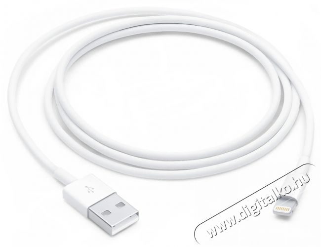 Apple Lightning to USB Cable 1m Mobil / Kommunik&aacute;ci&oacute; / Smart - Mobiltelefon kieg&eacute;sz&iacute;tő / tok - K&aacute;bel / &aacute;talak&iacute;t&oacute; - 503326