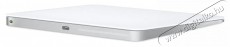 Apple Magic Trackpad 2024 - feh&eacute;r Iroda &eacute;s sz&aacute;m&iacute;t&aacute;stechnika - Eg&eacute;r - Vezet&eacute;k n&eacute;lk&uuml;li eg&eacute;r - 503322