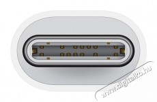 Apple USB-C to Lightning Adapter Mobil / Kommunik&aacute;ci&oacute; / Smart - Mobiltelefon kieg&eacute;sz&iacute;tő / tok - K&aacute;bel / &aacute;talak&iacute;t&oacute; - 503324