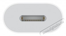 Apple USB-C to Lightning Adapter Mobil / Kommunik&aacute;ci&oacute; / Smart - Mobiltelefon kieg&eacute;sz&iacute;tő / tok - K&aacute;bel / &aacute;talak&iacute;t&oacute; - 503324