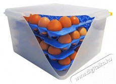 Araven GN 2/3 Toj&aacute;start&oacute; doboz + 4 k&eacute;k t&aacute;lca Konyhai term&eacute;kek - Ed&eacute;ny - Ed&eacute;ny k&eacute;szlet - 526900