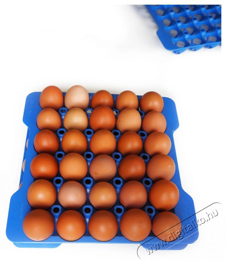 Araven GN 2/3 Toj&aacute;start&oacute; doboz + 4 k&eacute;k t&aacute;lca Konyhai term&eacute;kek - Ed&eacute;ny - Ed&eacute;ny k&eacute;szlet - 526900