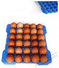 Araven GN 2/3 Toj&aacute;start&oacute; doboz + 4 k&eacute;k t&aacute;lca Konyhai term&eacute;kek - Ed&eacute;ny - Ed&eacute;ny k&eacute;szlet - 526900