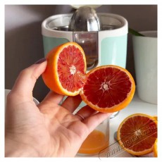 Ariete Vintage Juicer 413/04 - z&ouml;ld Konyhai term&eacute;kek - Konyhai kisg&eacute;p (elők&eacute;sz&iacute;t&eacute;s / feldolgoz&aacute;s) - Gy&uuml;m&ouml;lcs centrifuga / pr&eacute;s - 523821