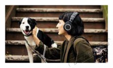 Audio-Technica ATH-M50XBT2 Bluetooth st&uacute;di&oacute; minős&eacute;gű fekete fejhallgat&oacute; Audio-Video / Hifi / Multim&eacute;dia - F&uuml;l &eacute;s Fejhallgat&oacute;k - Fejhallgat&oacute; mikrofonnal / headset - 459237