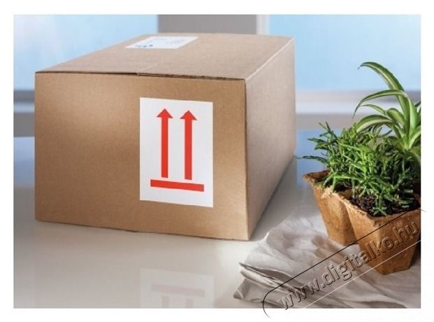 Avery 7250 &Aacute;ll&oacute; ny&iacute;lak piktogram 74x100mm 200db-os c&iacute;mke Iroda &eacute;s sz&aacute;m&iacute;t&aacute;stechnika - Egy&eacute;b sz&aacute;m&iacute;t&aacute;stechnikai term&eacute;k - 403963