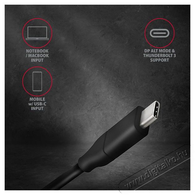 Axagon RVC-DPC USB-C - Displayport k&aacute;bel Tv kieg&eacute;sz&iacute;tők - K&aacute;bel / csatlakoz&oacute; - Csatlakoz&oacute; / eloszt&oacute; / &aacute;talak&iacute;t&oacute; - 391552