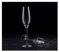 B.BOHEMIAN Pezsgőspoh&aacute;r 210 ml GRAVITY 2 db Konyhai term&eacute;kek - Konyhai eszk&ouml;z - K&eacute;szlet / szett - 524219