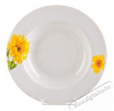 BANQUET SUNNY &eacute;tk&eacute;szlet 18 db A02583 Konyhai term&eacute;kek - &Eacute;tk&eacute;szlet - T&aacute;ny&eacute;r k&eacute;szlet - 526959