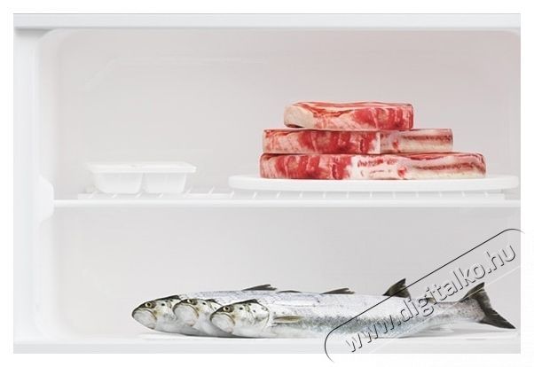 Beko BDSA250K4SN, K&eacute;tajt&oacute;s hűtő, 220 l, &Aacute;ll&iacute;that&oacute; termoszt&aacute;t, E energiaoszt&aacute;ly, M 144,8 cm Konyhai term&eacute;kek - Hűtő, fagyaszt&oacute; (szabadon&aacute;ll&oacute;) - Fel&uuml;lfagyaszt&oacute;s kombin&aacute;lt hűtő - 532949