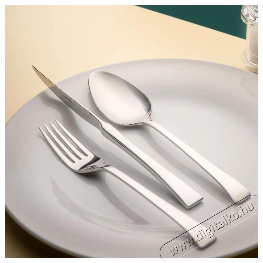 Berndorf Sandrik  DELTA evőeszk&ouml;zk&eacute;szlet, 24 db Konyhai term&eacute;kek - Egy&eacute;b / Konyhai kieg&eacute;sz&iacute;tő - 527015