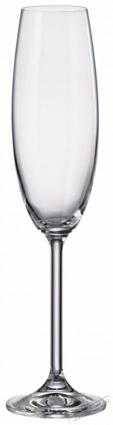 Bohemia Royal Crystal  2FOR2 Poh&aacute;r 230 ml Konyhai term&eacute;kek - Konyhai eszk&ouml;z - K&eacute;szlet / szett - 524377