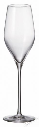 Bohemia Royal Crystal  Pezsgőspoh&aacute;r 230 ml 6 db AVILA Konyhai term&eacute;kek - Konyhai eszk&ouml;z - K&eacute;szlet / szett - 524399