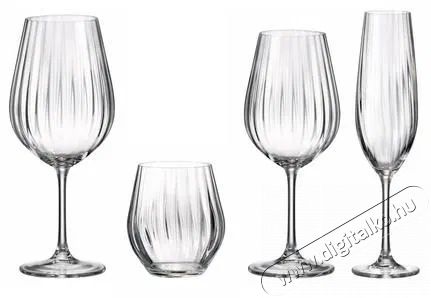 Bohemia Royal Crystal  SARAH WATERFALL Boros- &eacute;s vizespoh&aacute;r k&eacute;szlet Konyhai term&eacute;kek - Konyhai eszk&ouml;z - Egy&eacute;b konyhai eszk&ouml;z - 524408