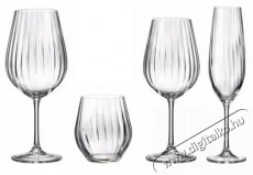 Bohemia Royal Crystal  SARAH WATERFALL Boros- &eacute;s vizespoh&aacute;r k&eacute;szlet Konyhai term&eacute;kek - Konyhai eszk&ouml;z - Egy&eacute;b konyhai eszk&ouml;z - 524408