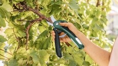 Bosch 06008B2100 EASYPRUNE Akkus metszőoll&oacute; H&aacute;ztart&aacute;s / Otthon / K&uuml;lt&eacute;r - Szersz&aacute;m - Akkumul&aacute;toros k&eacute;s - 362514