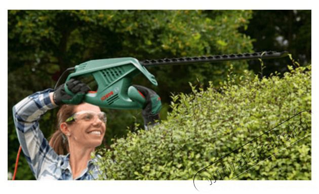 Bosch EasyHedgecut 55 elektromos s&ouml;v&eacute;nyv&aacute;g&oacute; H&aacute;ztart&aacute;s / Otthon / K&uuml;lt&eacute;r - K&uuml;lt&eacute;r / kerti term&eacute;k / grill - S&ouml;v&eacute;ny / k&eacute;zi fű &eacute;s lomb v&aacute;g&oacute; - 442479
