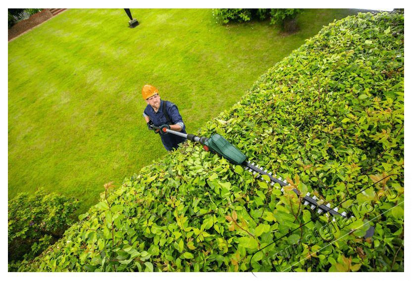 Bosch UniversalHedgePole 18 magass&aacute;gi s&ouml;v&eacute;nyny&iacute;r&oacute; (csak k&eacute;sz&uuml;l&eacute;k) H&aacute;ztart&aacute;s / Otthon / K&uuml;lt&eacute;r - K&uuml;lt&eacute;r / kerti term&eacute;k / grill - S&ouml;v&eacute;ny / k&eacute;zi fű &eacute;s lomb v&aacute;g&oacute; - 502269