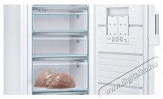 Bosch GSN58EWDV Serie 6 Konyhai term&eacute;kek - Hűtő, fagyaszt&oacute; (szabadon&aacute;ll&oacute;) - Fagyaszt&oacute;szekr&eacute;ny - 505622