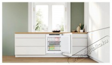 Bosch GUN21ADE0 Konyhai term&eacute;kek - Hűtő, fagyaszt&oacute; (szabadon&aacute;ll&oacute;) - Fagyaszt&oacute;szekr&eacute;ny - 505620