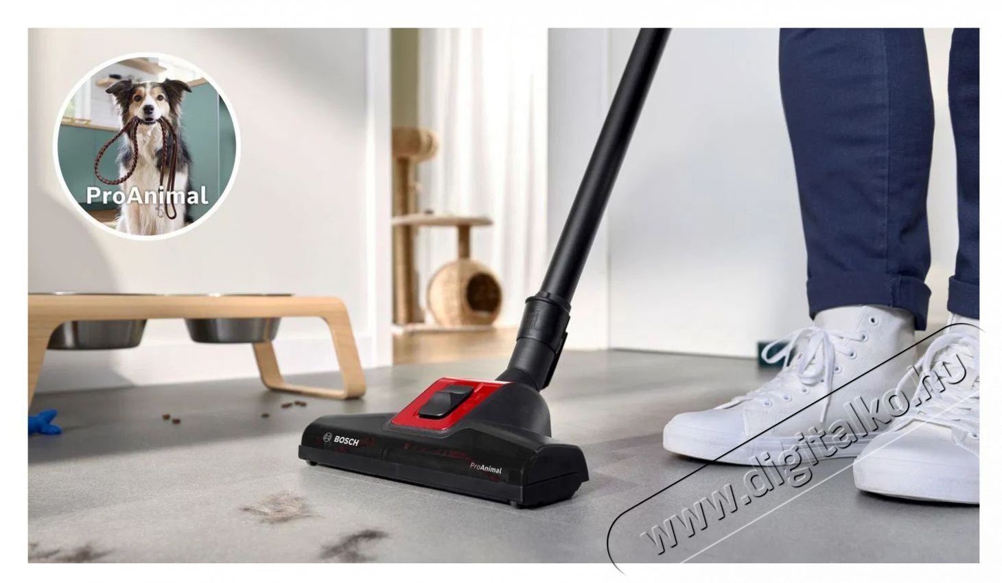 Bosch BGL41PET2H GL41 H&aacute;ztart&aacute;s / Otthon / K&uuml;lt&eacute;r - Porsz&iacute;v&oacute; / takar&iacute;t&oacute;g&eacute;p - Porzs&aacute;kos porsz&iacute;v&oacute; - 510897