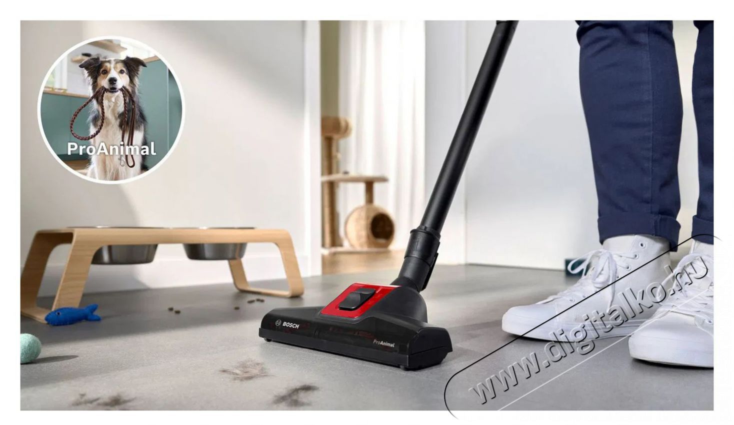 Bosch BGL6PET3 Serie 6 ProAnimal H&aacute;ztart&aacute;s / Otthon / K&uuml;lt&eacute;r - Porsz&iacute;v&oacute; / takar&iacute;t&oacute;g&eacute;p - Porzs&aacute;kos porsz&iacute;v&oacute; - 510898