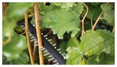 Bosch UniversalHedgeCut 18-55 (1x2,5 Ah) 0.600.849.J01 H&aacute;ztart&aacute;s / Otthon / K&uuml;lt&eacute;r - K&uuml;lt&eacute;r / kerti term&eacute;k / grill - S&ouml;v&eacute;ny / k&eacute;zi fű &eacute;s lomb v&aacute;g&oacute; - 518591