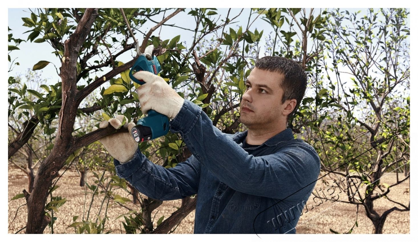 Bosch Professional 06019K1021 Pro Pruner akkus metszőoll&oacute; (2 &times; 3 Ah) &Aacute;gv&aacute;g&oacute; H&aacute;ztart&aacute;s / Otthon / K&uuml;lt&eacute;r - Szersz&aacute;m - Akkumul&aacute;toros k&eacute;s - 540832