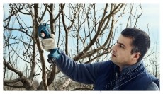 Bosch Professional 06019K1021 Pro Pruner akkus metszőoll&oacute; (2 &times; 3 Ah) &Aacute;gv&aacute;g&oacute; H&aacute;ztart&aacute;s / Otthon / K&uuml;lt&eacute;r - Szersz&aacute;m - Akkumul&aacute;toros k&eacute;s - 540832
