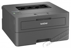 Brother HL-L2442DW Nyomtat&oacute; Iroda &eacute;s sz&aacute;m&iacute;t&aacute;stechnika - Nyomtat&oacute; - L&eacute;zer - 530568