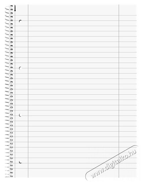 BRUNNEN A4 80 lapos vonalas pasztell lila &eacute;s pasztell k&eacute;k spir&aacute;lf&uuml;zet H&aacute;ztart&aacute;s / Otthon / K&uuml;lt&eacute;r - Szersz&aacute;m - Egy&eacute;b szersz&aacute;m - 507700