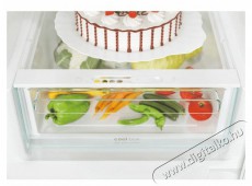 Candy CCE4T618DX hűtőszekr&eacute;ny Konyhai term&eacute;kek - Hűtő, fagyaszt&oacute; (szabadon&aacute;ll&oacute;) - Alulfagyaszt&oacute;s kombin&aacute;lt hűtő - 400855