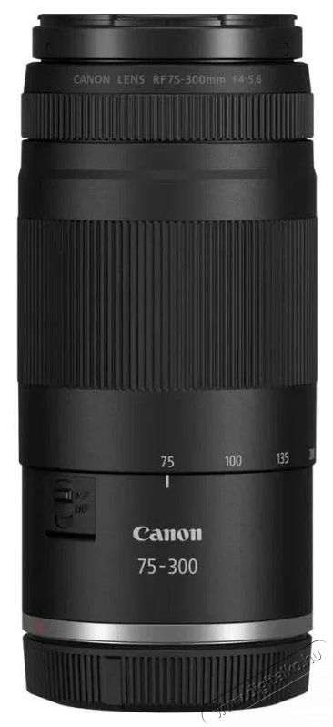 CANON RF 75-300mm f/4-5.6 (7155C005) objekt&iacute;v Fot&oacute;-Vide&oacute; kieg&eacute;sz&iacute;tők - Objekt&iacute;v - Fix f&oacute;kusz&uacute; objekt&iacute;v - 531218