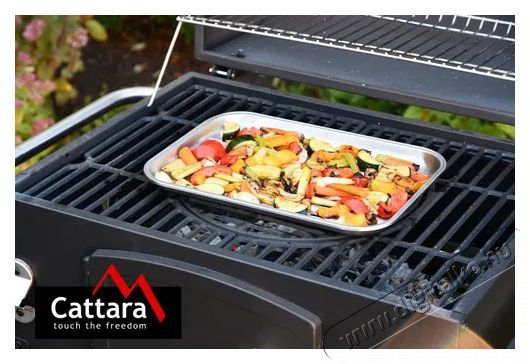 Cattara rozsdamentes ac&eacute;l, 34x24 cm H&aacute;ztart&aacute;s / Otthon / K&uuml;lt&eacute;r - K&uuml;lt&eacute;r / kerti term&eacute;k / grill - Kerti grill kieg&eacute;sz&iacute;tő - 523242
