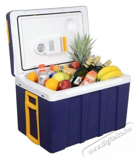 Compass 50l 230V / 12V mobil Konyhai term&eacute;kek - Hűtő, fagyaszt&oacute; (szabadon&aacute;ll&oacute;) - Fagyaszt&oacute;l&aacute;da - 523265