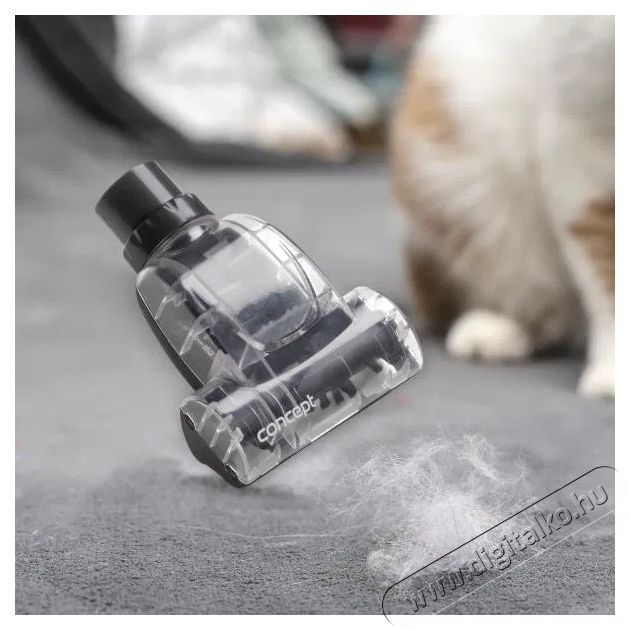 Concept VP5240n 4A RADICAL Pet Expert H&aacute;ztart&aacute;s / Otthon / K&uuml;lt&eacute;r - Porsz&iacute;v&oacute; / takar&iacute;t&oacute;g&eacute;p - Sz&aacute;raz-nedves takar&iacute;t&oacute;g&eacute;p - 510927