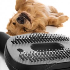 Concept VP5240n 4A RADICAL Pet Expert H&aacute;ztart&aacute;s / Otthon / K&uuml;lt&eacute;r - Porsz&iacute;v&oacute; / takar&iacute;t&oacute;g&eacute;p - Sz&aacute;raz-nedves takar&iacute;t&oacute;g&eacute;p - 510927