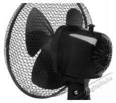 Concept VS5041 fekete H&aacute;ztart&aacute;s / Otthon / K&uuml;lt&eacute;r - Ventil&aacute;tor / L&eacute;gkondicion&aacute;l&oacute; - Asztali ventil&aacute;tor - 511886